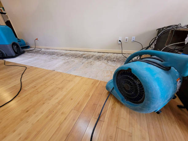 Professional Structural Drying technician working in DeSoto, TX
